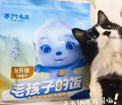 ！三只松鼠靠什么重返宠物食品赛道开元棋牌零食巨头盯上毛孩子口粮(图3)