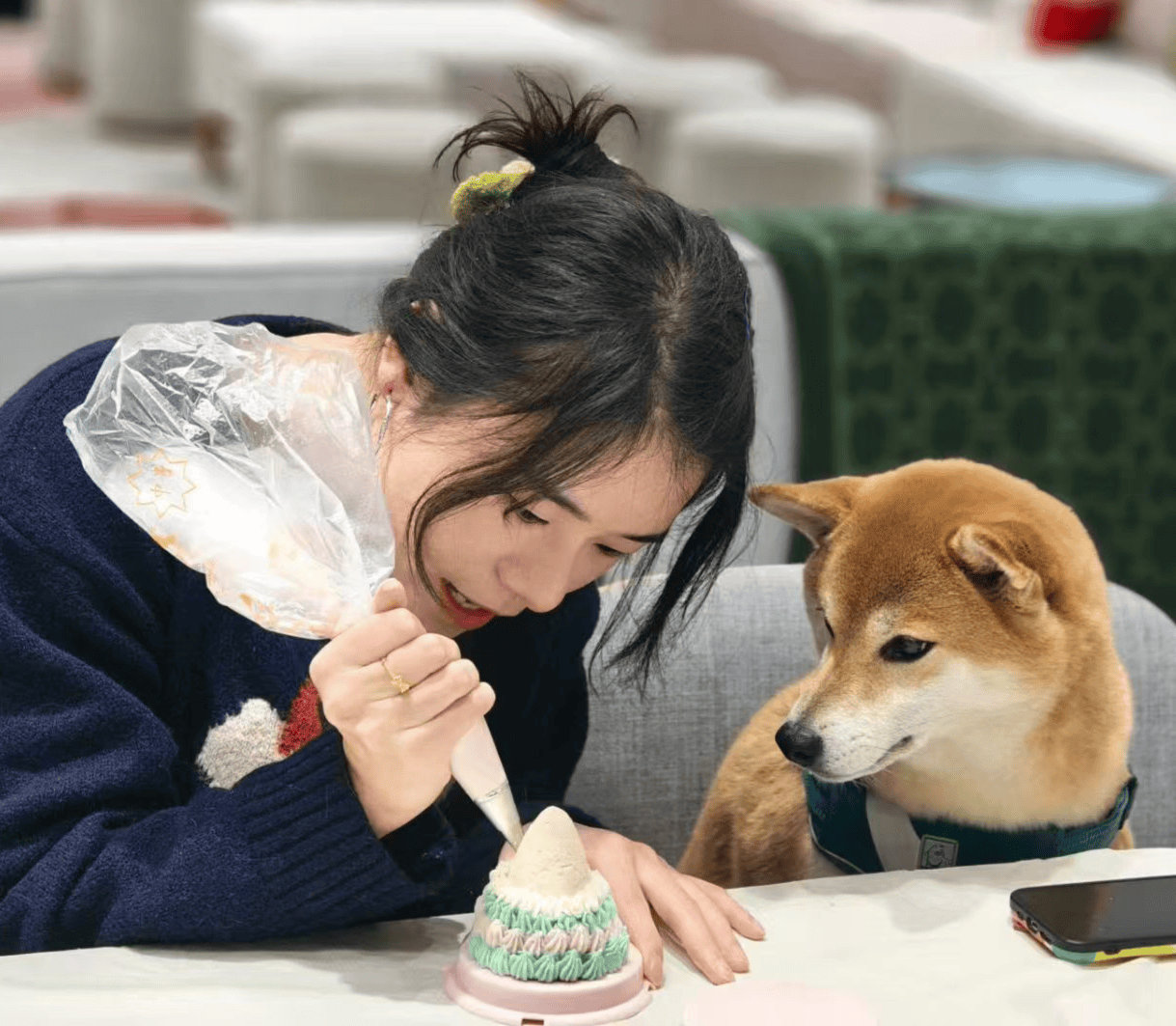 月饼热销还可量身定制有商家一周内售出上千枚ky开元棋牌“毛孩子”也过中秋！成都宠物(图3)