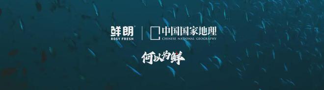 国内首个《鲜肉烘焙全价宠物食品》标准开元棋牌app从开创到引